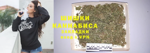 тгк Вяземский