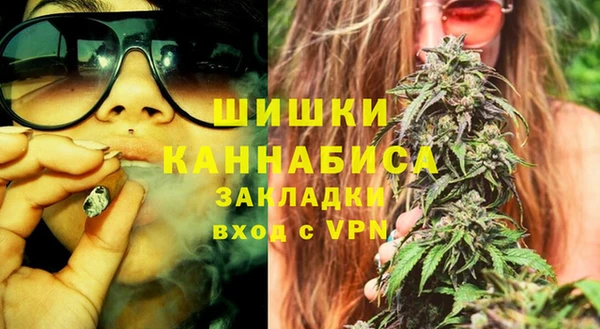 тгк Вяземский