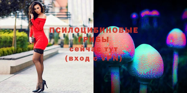 тгк Вяземский