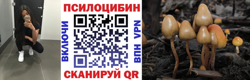 Галлюциногенные грибы мухоморы  купить   даркнет формула  Северодвинск 